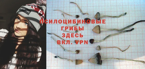 СК Краснослободск