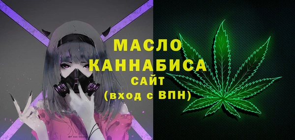 СК Краснослободск