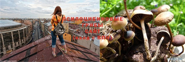 кокаин колумбия Красноперекопск