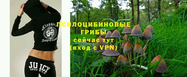 СК Краснослободск