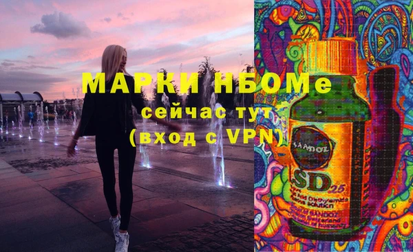 СК Краснослободск