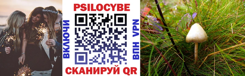 Купить где  Пионерский  Псилоцибиновые грибы мухоморы 